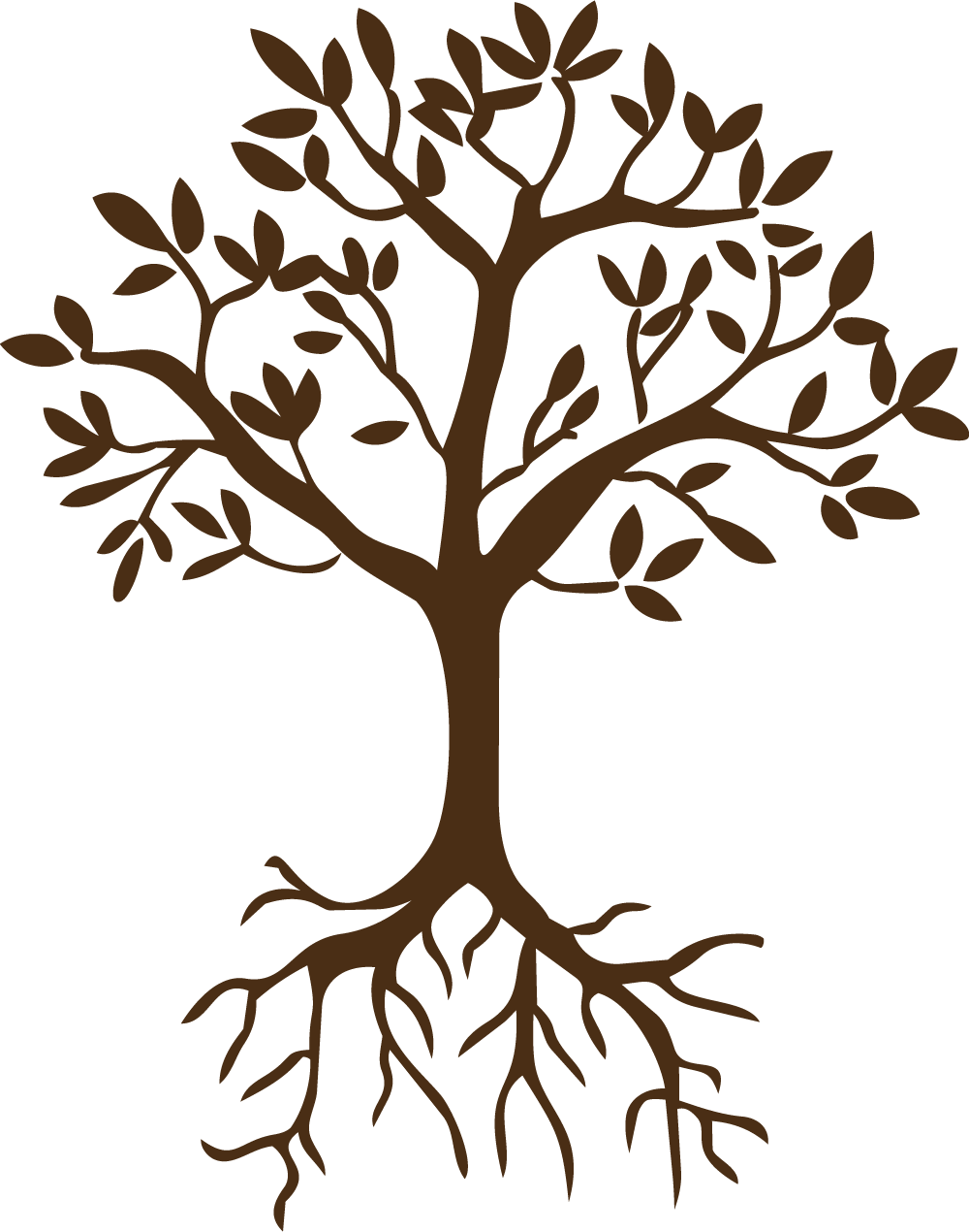 tree with small leaves and deep roots