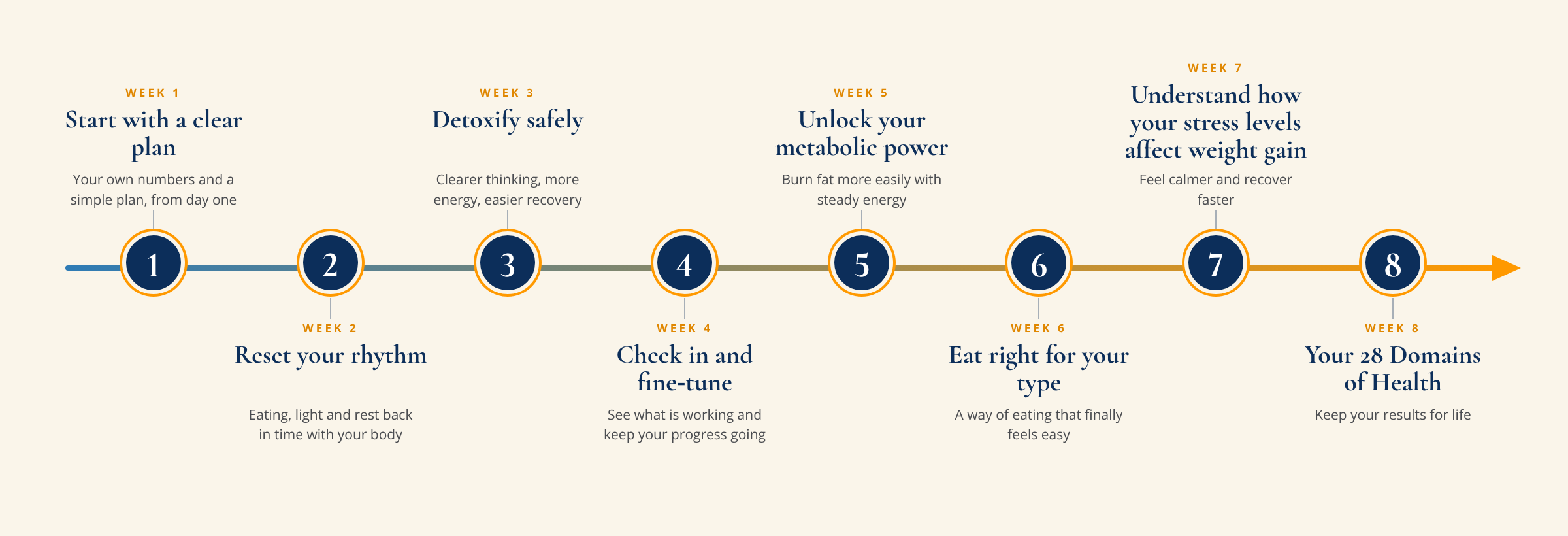 Your eight-week roadmap, week by week