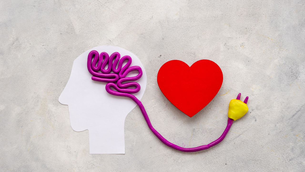 emotional brain 