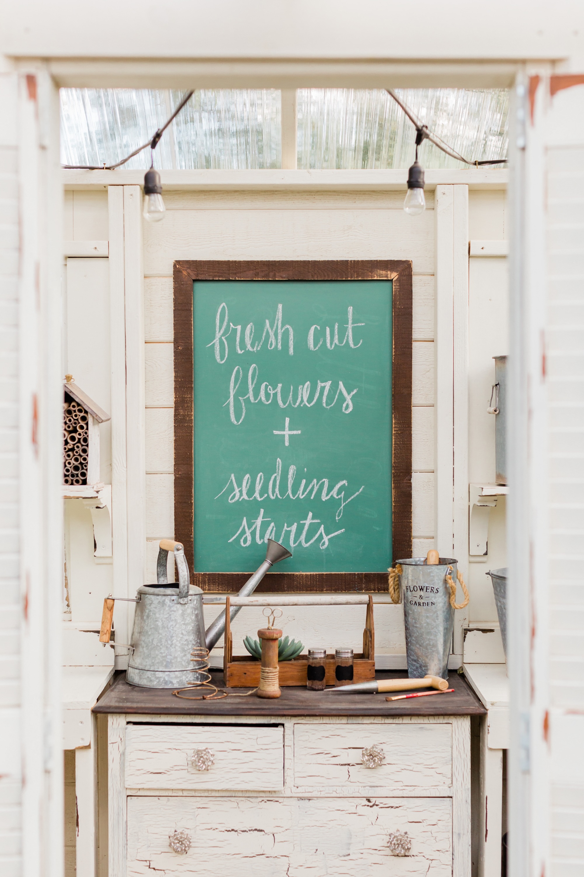 A bowl of blueberries on a rustic wooden table