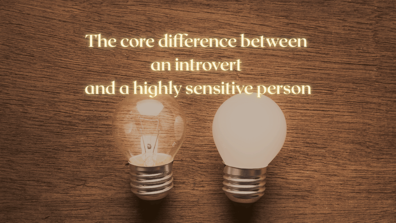 The core difference between  an introvert  and a highly sensitive person