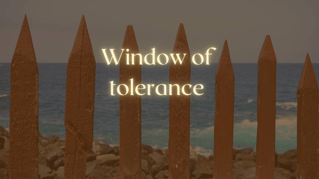 The Window of Tolerance