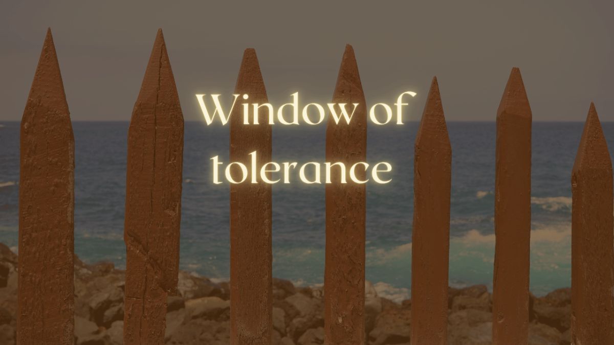 The Window of Tolerance