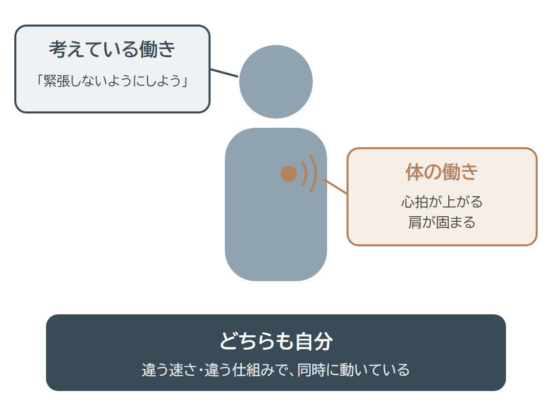 頭の「緊張しないようにしよう」という考えと、心拍が上がり肩が固まるという体の働きが、どちらも自分であることを示した図