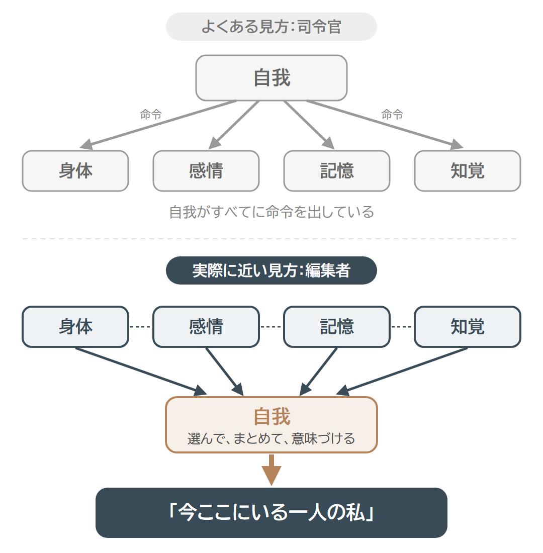 自我がすべてに命令する司令官モデルと、身体・感情・記憶・知覚から上がる素材を自我がまとめて「今ここにいる一人の私」にする編集者モデルを比べた図