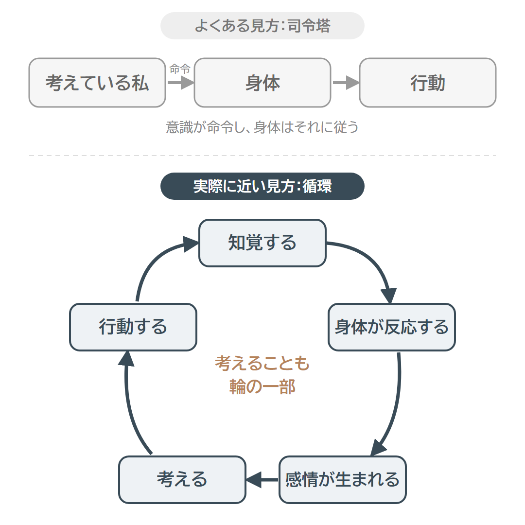 意識が命令し身体が従う司令塔モデルと、知覚・身体の反応・感情・思考・行動がめぐる循環を比べた図