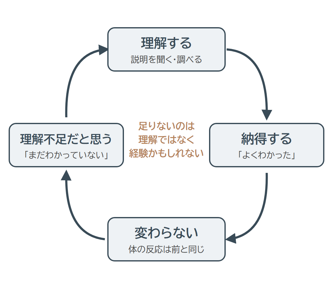 理解する、納得する、変わらない、理解不足だと思う、をくり返す循環と、足りないのは理解ではなく経験かもしれないことを示した図