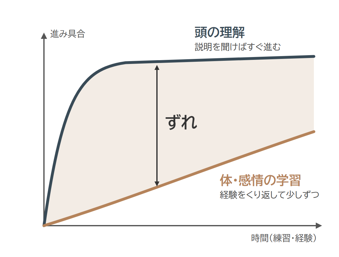 頭の理解はすぐに進むが、体・感情の学習は経験をくり返して少しずつしか進まず、その間にずれが生まれることを示したグラフ