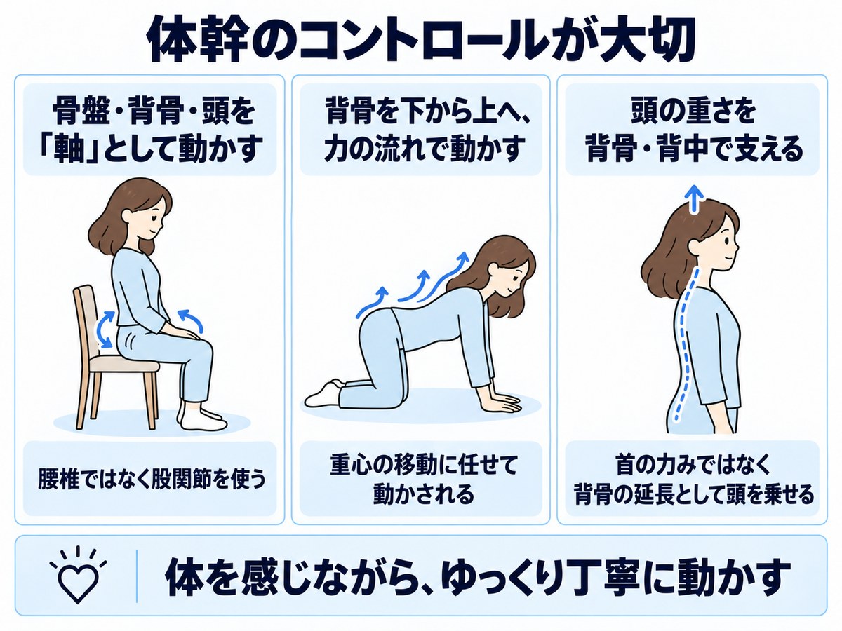 骨盤・背骨・頭を軸として動かし、背骨を下から上へ力の流れで動かし、頭の重さを背骨と背中で支える3つの基礎ワーク