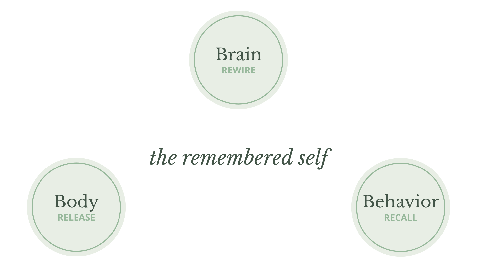 Body, Brain, Behavior — the three pillars of the Meg Ellis Method
