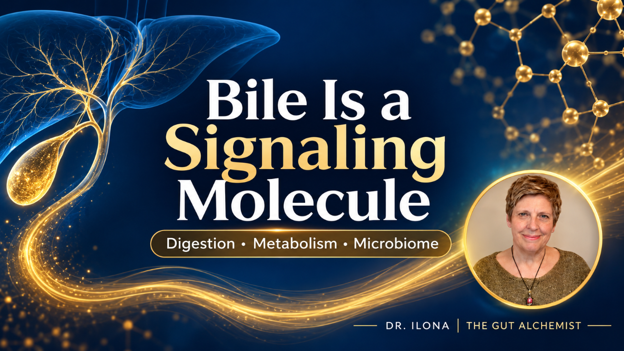 Bile and Metabolic Health: The Connection to Blood Sugar & Gut Health