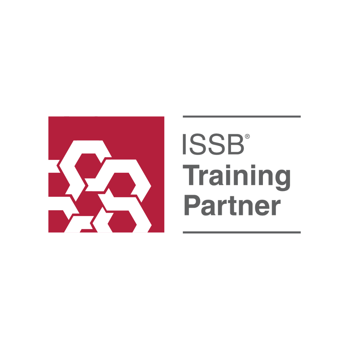 IFRS and ISSB Standards logo
