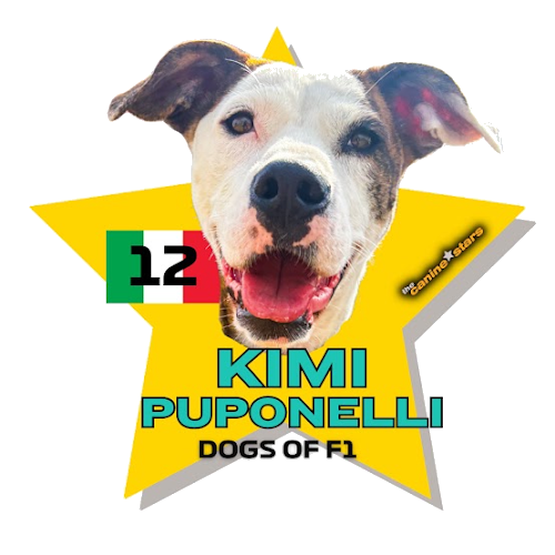 Kimi Puponelli star graphic