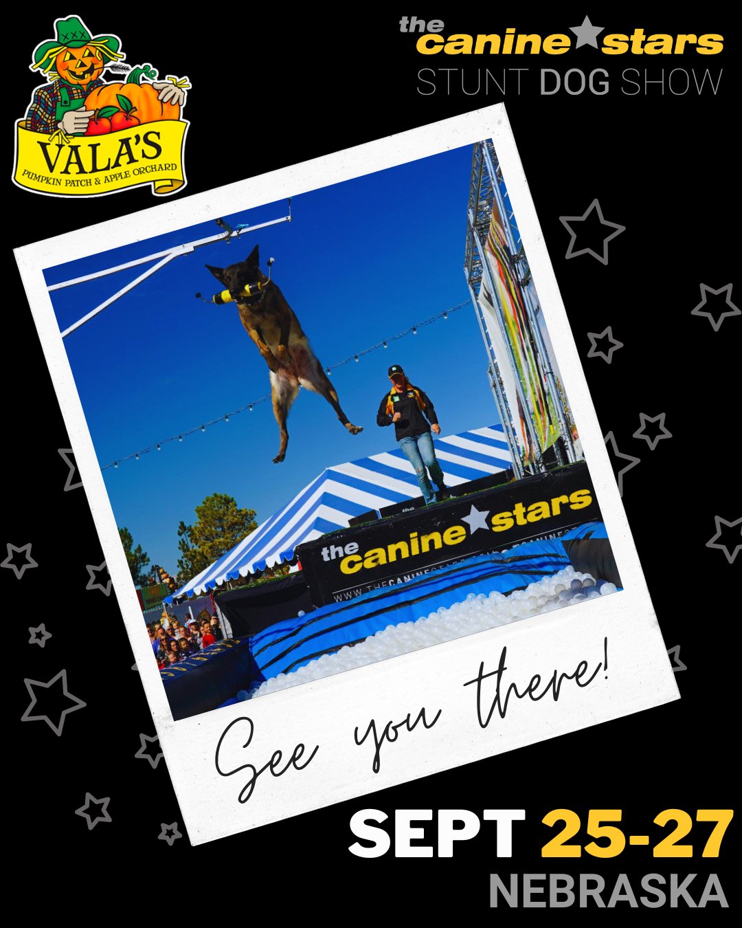The Canine Stars at Vala's Pumpkin Patch in Gretna, Nebraska