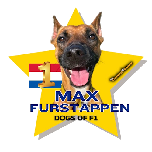 Max Furstappen star graphic