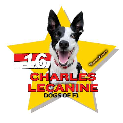 Charles Lecanine star graphic