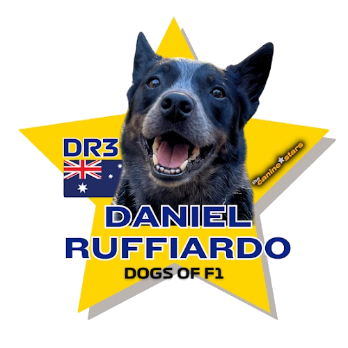 Daniel Ruffiardo star graphic