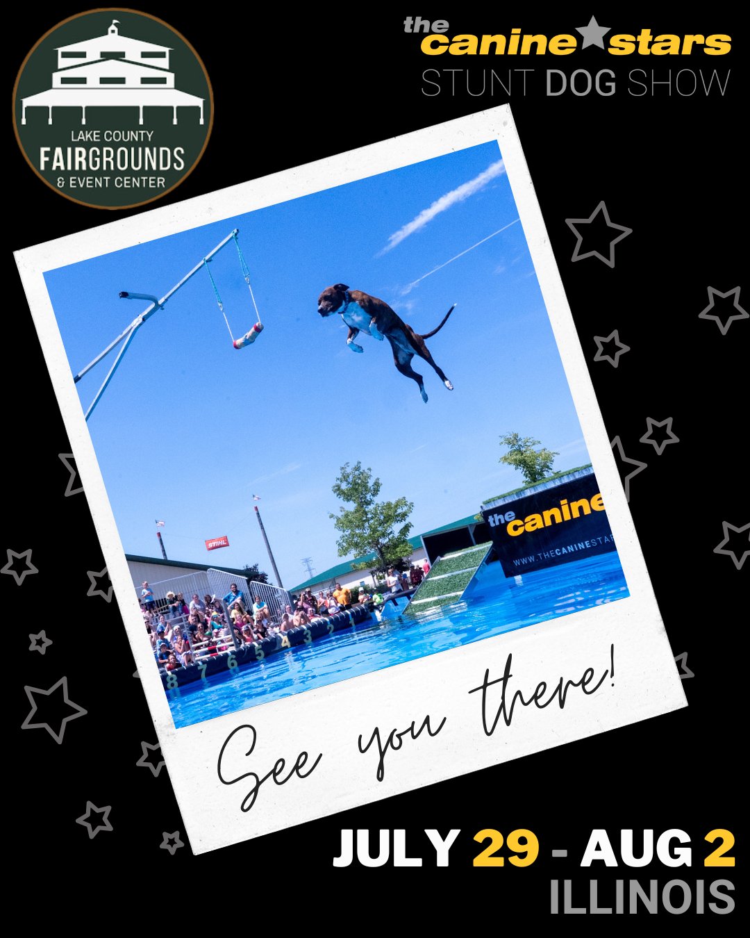 The Canine Stars at Lake County Fair