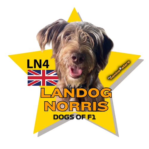 Landog Norris star graphic