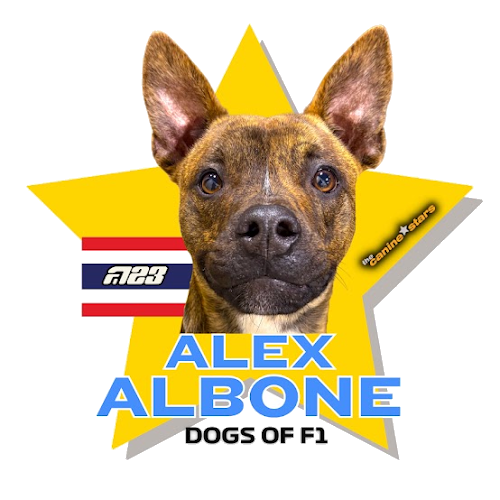 Alex Albone star graphic