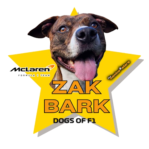 Zak Bark star graphic