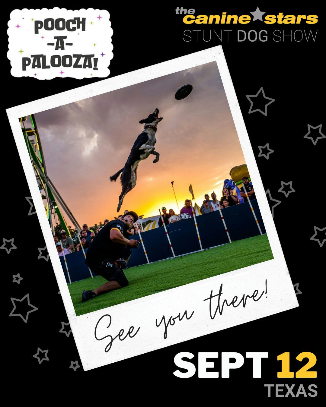 The Canine Stars at Pooch-A-Palooza in Baytown, Texas