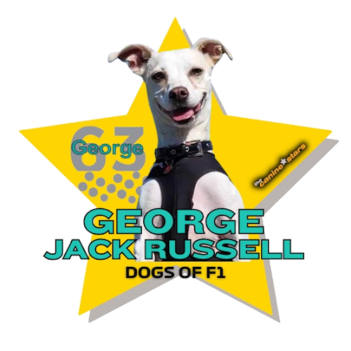 George Jack Russell star graphic