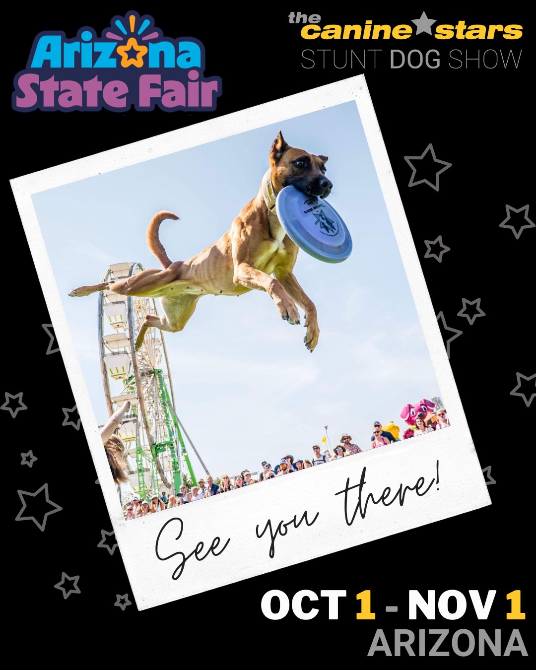 The Canine Stars at Arizona State Fair in Phoenix, Arizona