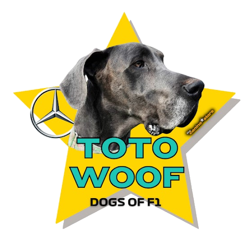 Toto Woof star graphic