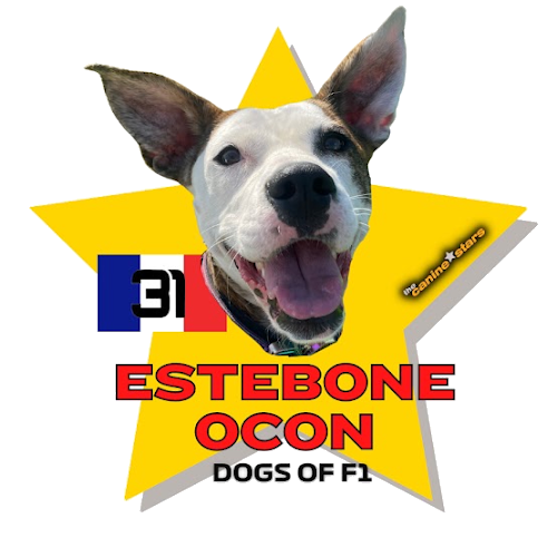 Estebone Ocon star graphic