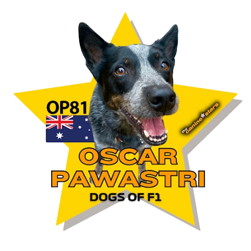 Oscar Pawastri star graphic