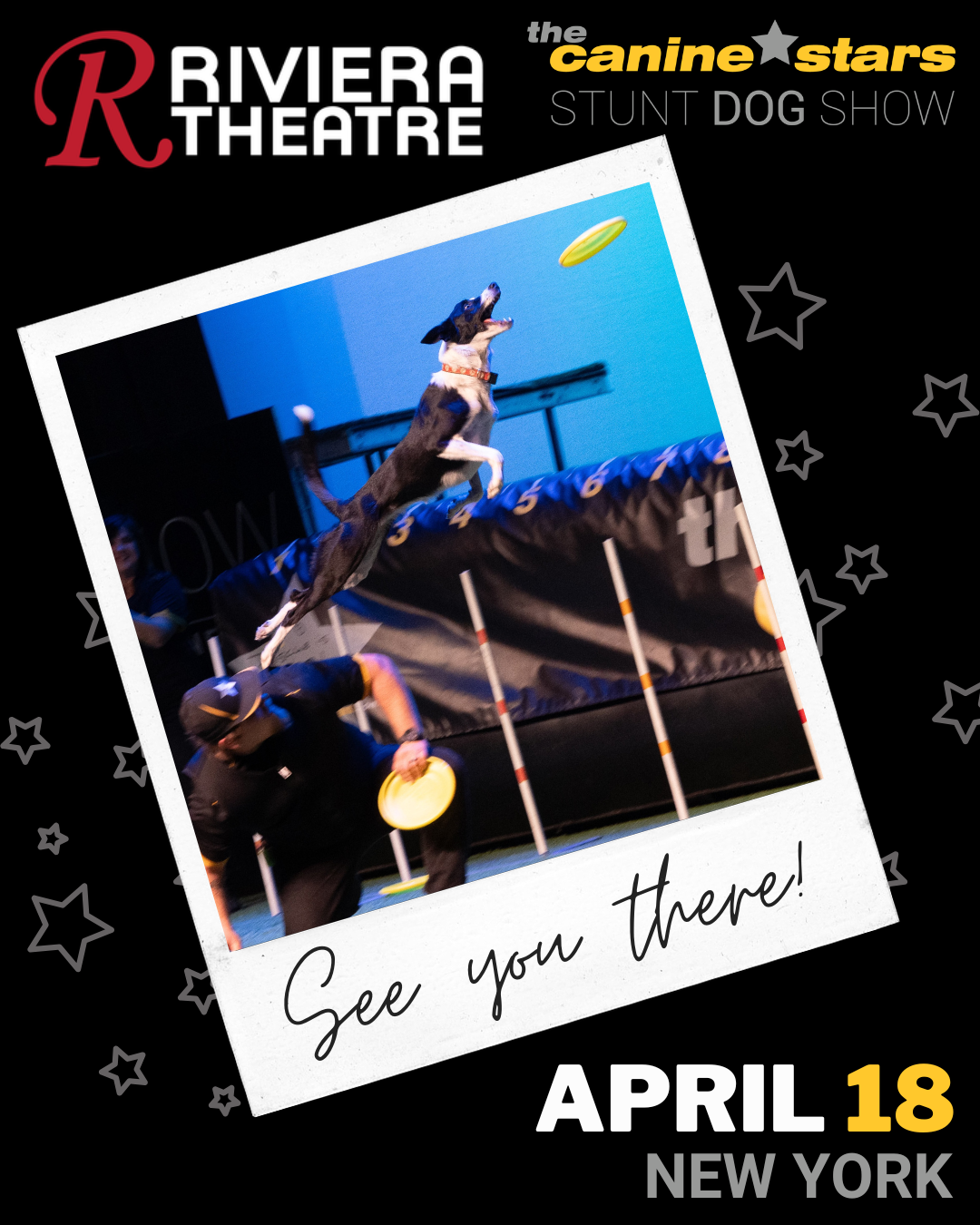 The Canine Stars Stunt Dog Show at Riviera Theatre in North Tonawanda, New York – rescue dog show
