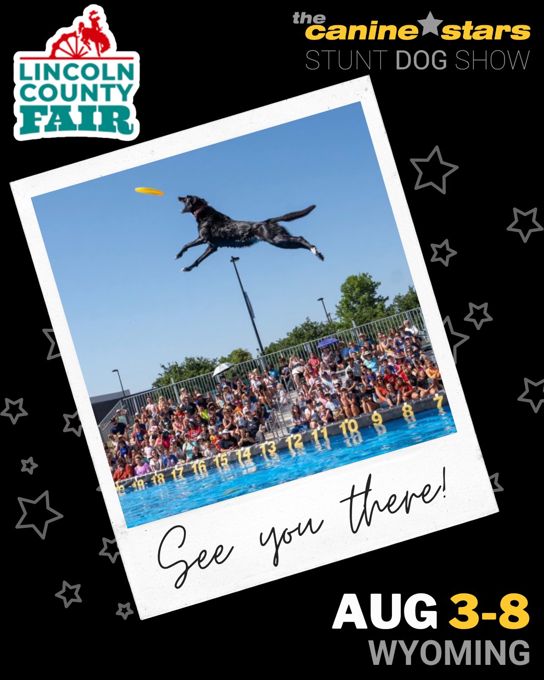 The Canine Stars at Lincoln County Fair in Afton, WY