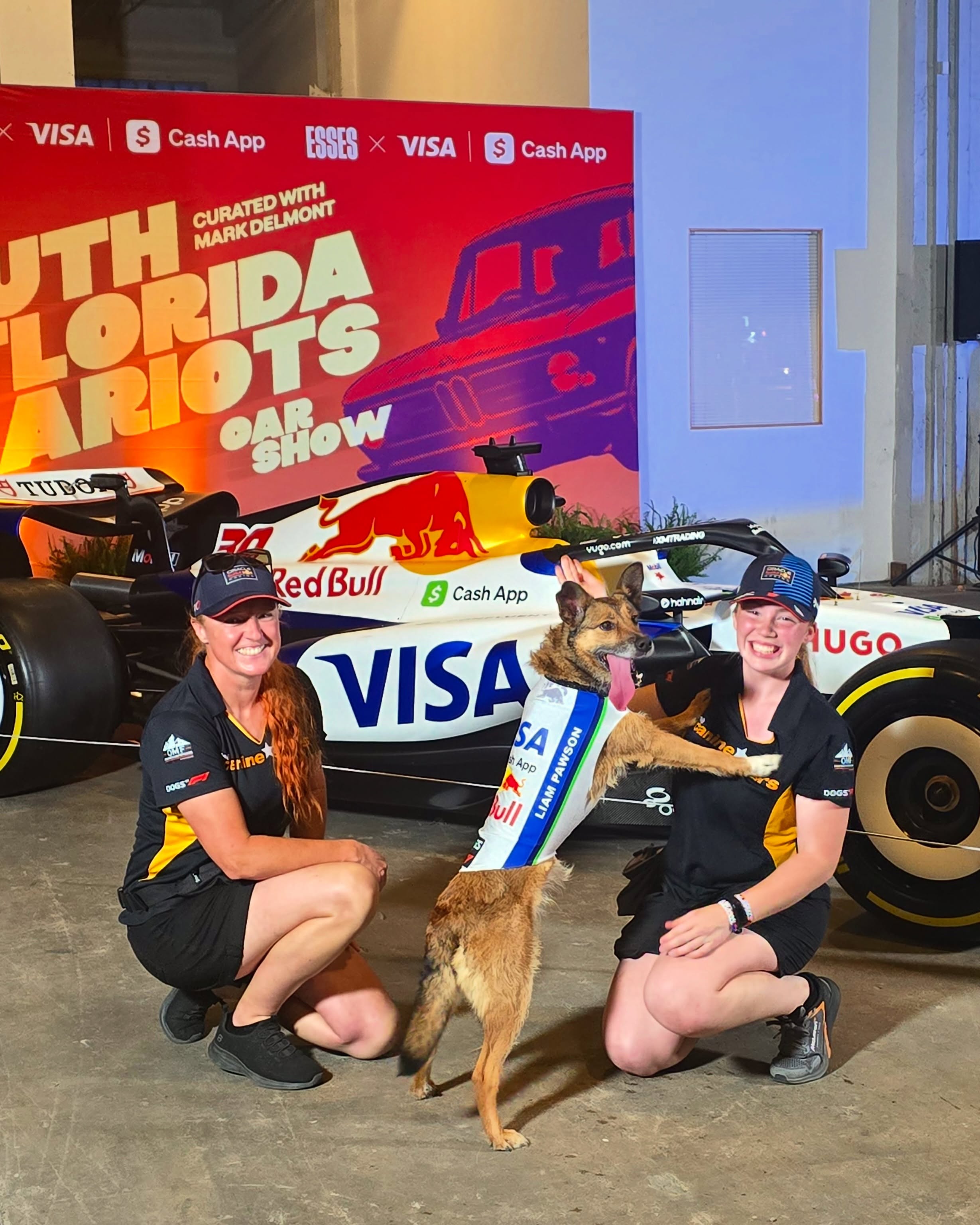 Liam Pawson, a rescue dog on the Dogs of F1 team from The Canine Stars