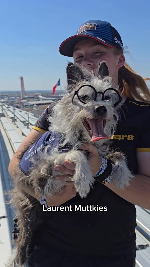 Laurent Muttkies, a rescue dog on the Dogs of F1 team from The Canine Stars
