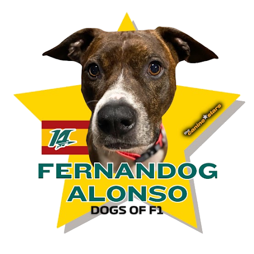 Fernandog Alonso star graphic