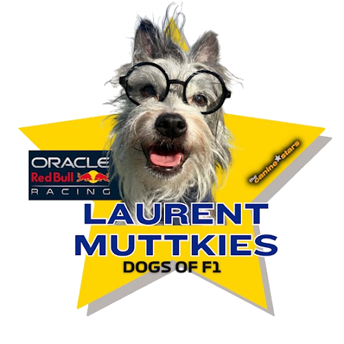 Laurent Muttkies star graphic