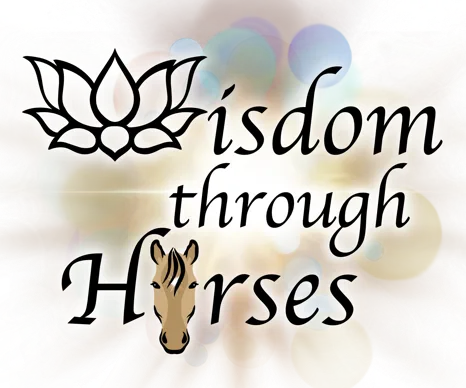 Wisdom Through Horses