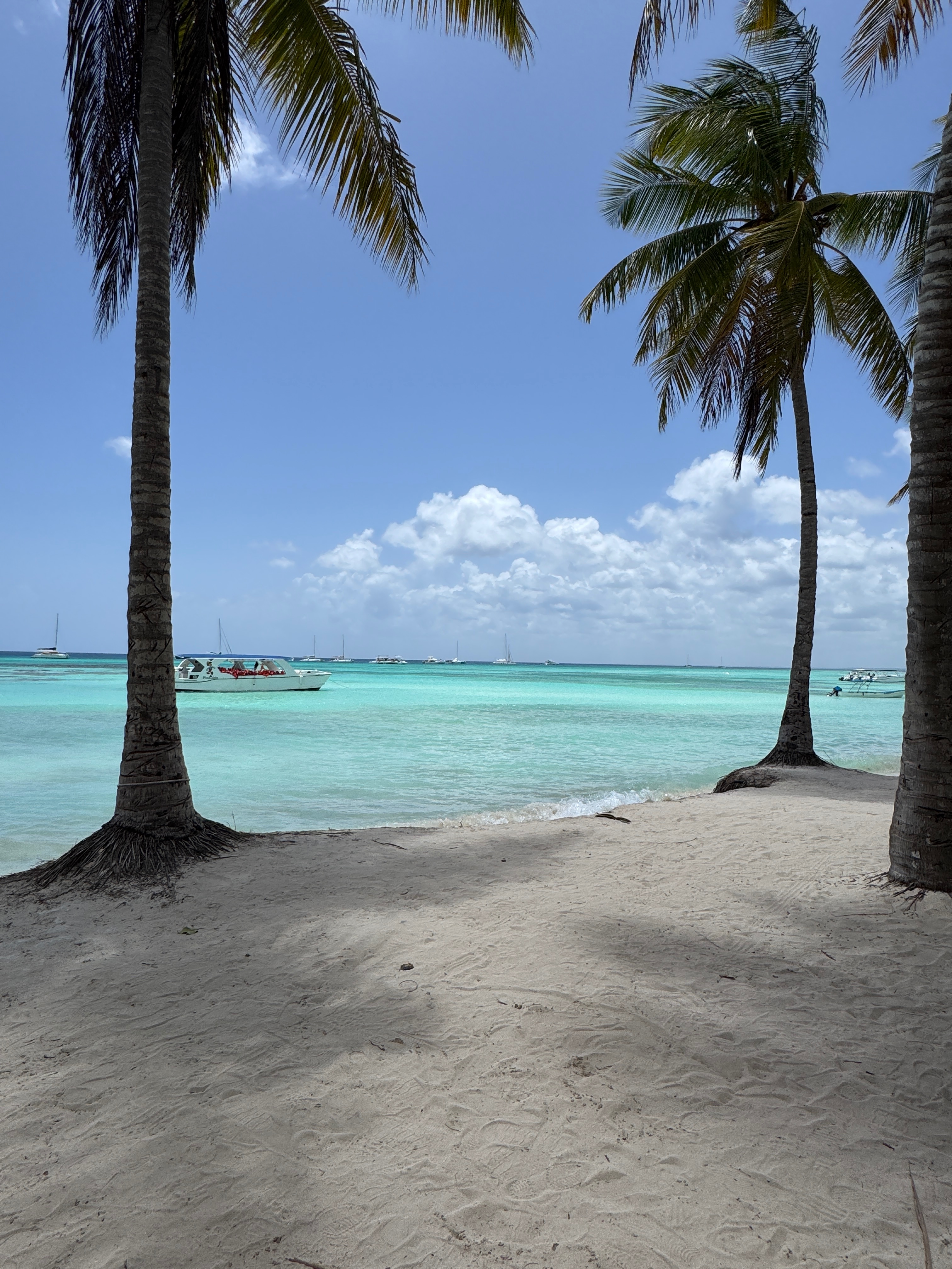 Beautiful Caribbean Beach with Boat on the water