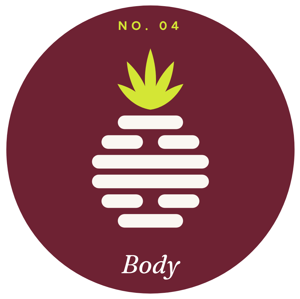 No. 04 Body
