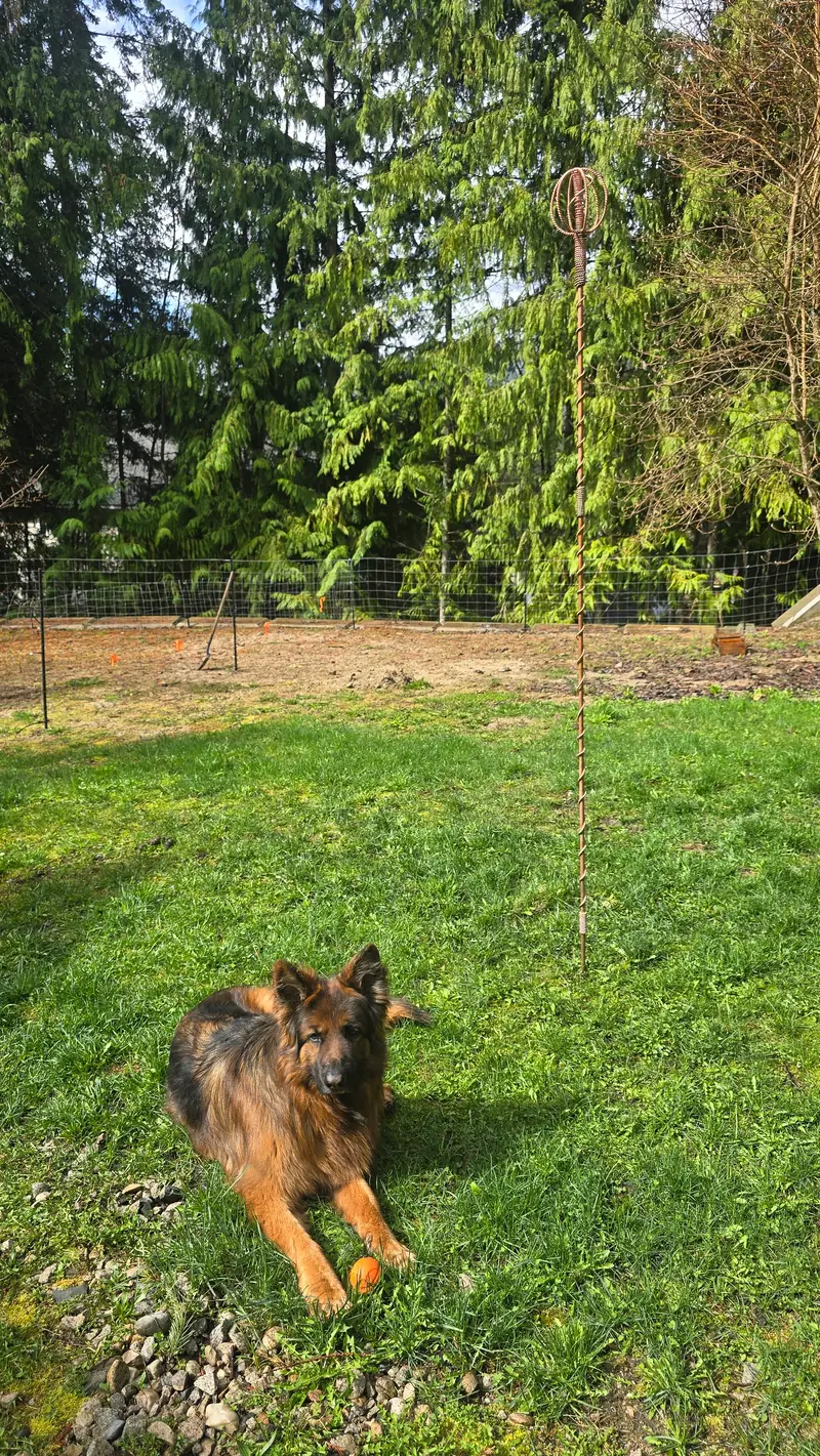A Harmonizer Antenna System standing in a green field with a dog resting beside it