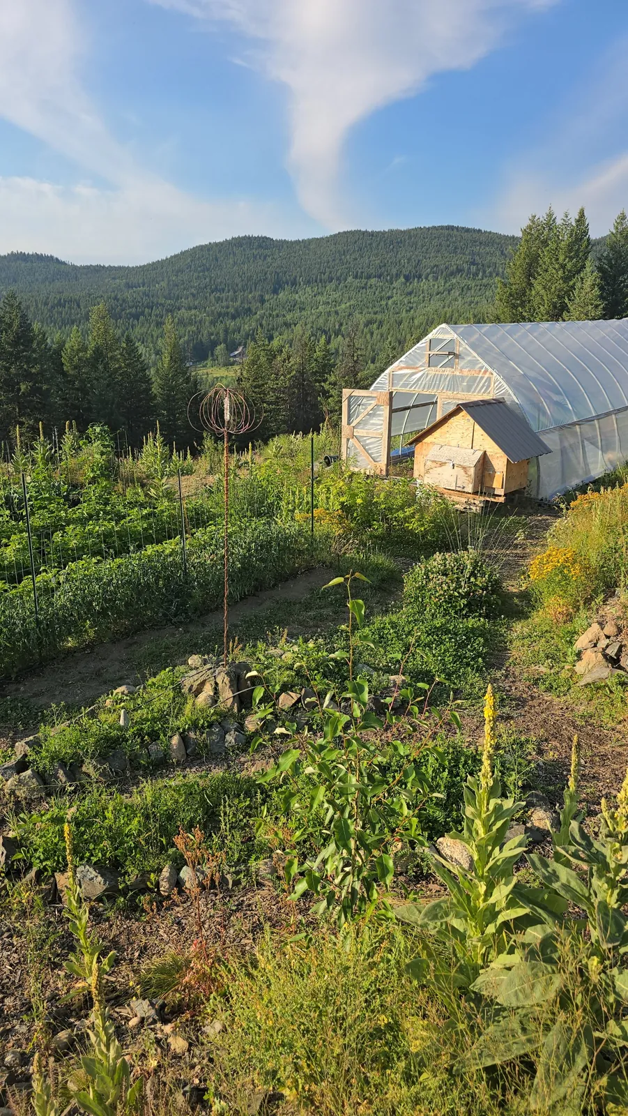 A Harmonizer Antenna System standing in the garden beside the greenhouse, with forested hills behind