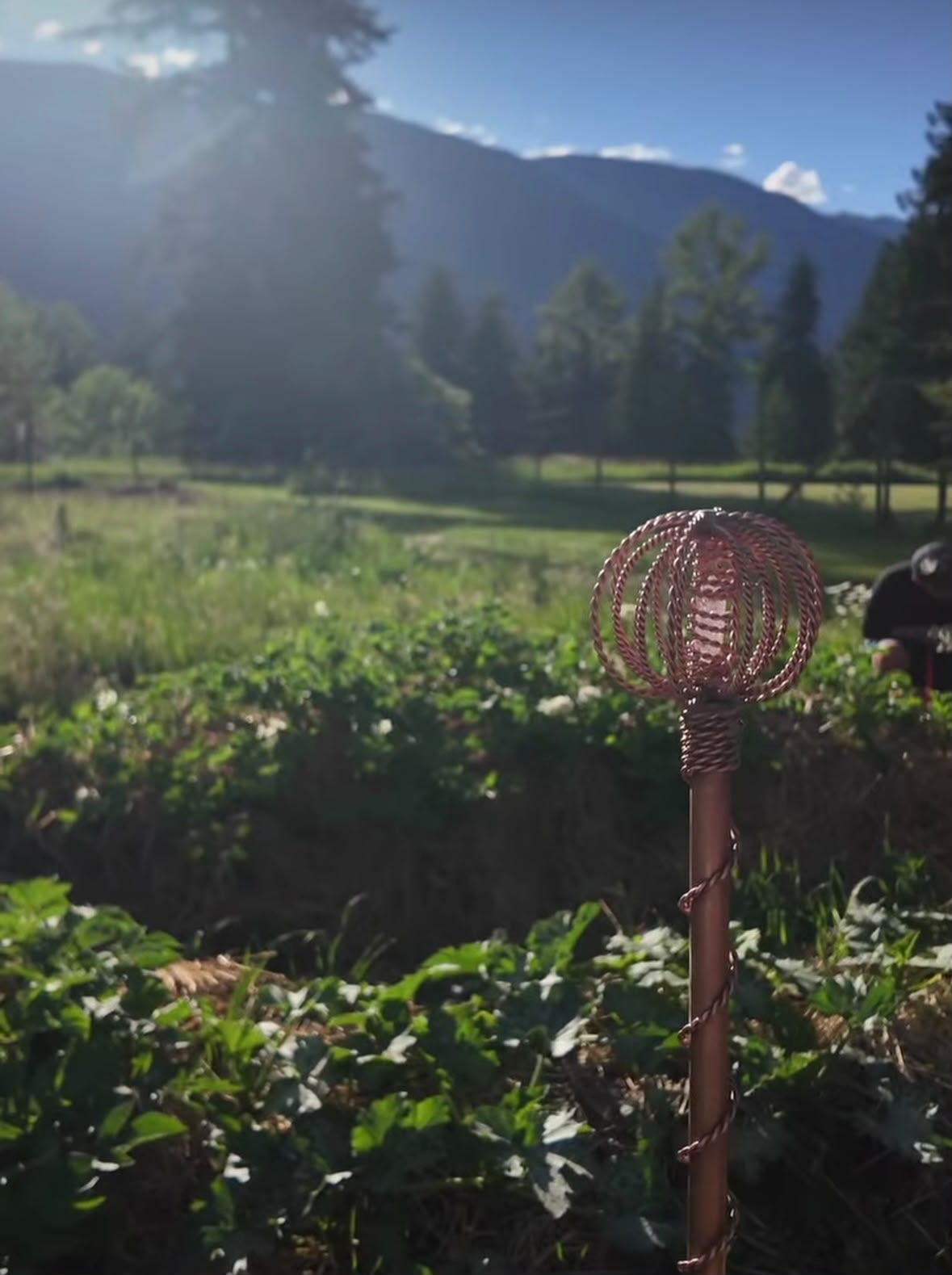 A Homestead Harmonizer Antenna System in a mountain garden at golden hour