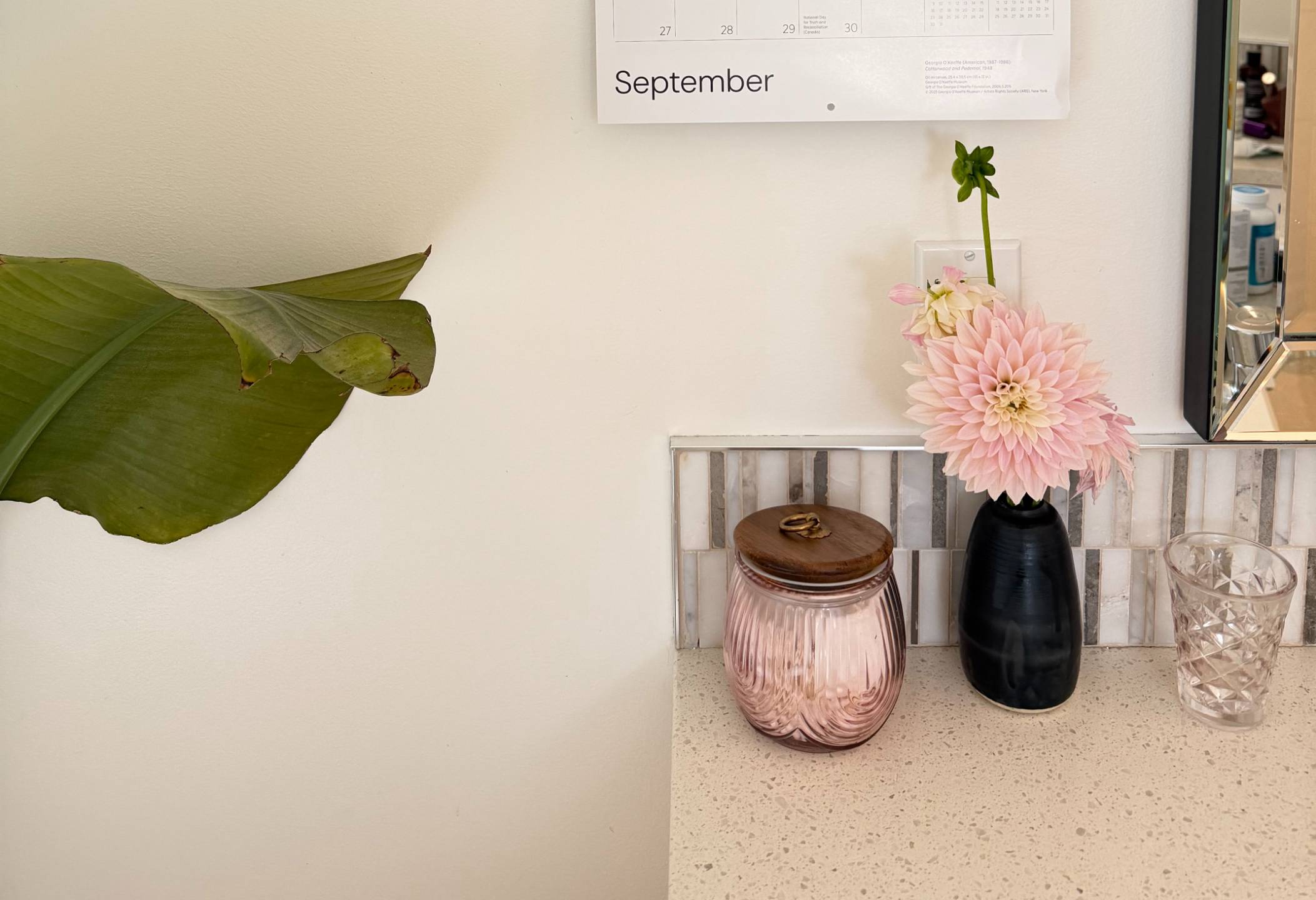 Begin With Water, a 7-day audio hydration practice for perimenopause