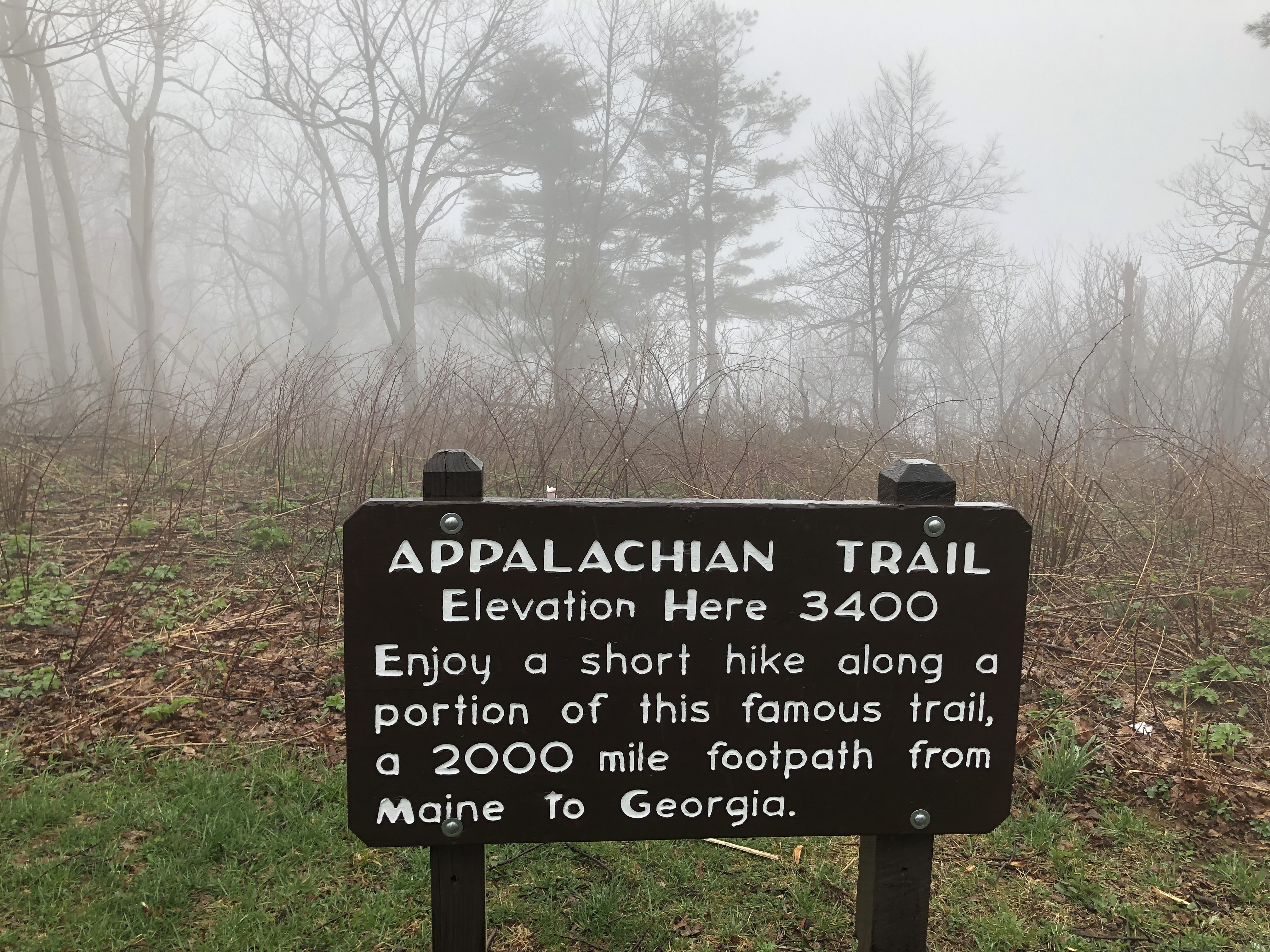 Foggy Path Appalachian trail in the fog.