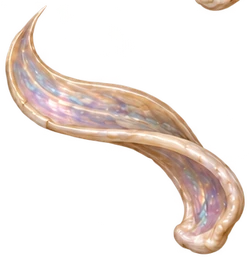 bone-10