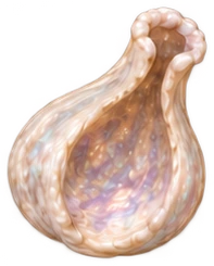 bone-19