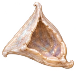 bone-22