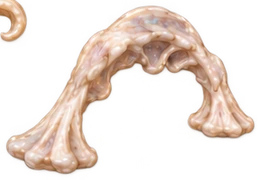 bone-33