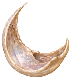 bone-03